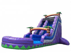10X30X18 Marble Purple Palm Tree Water Slide